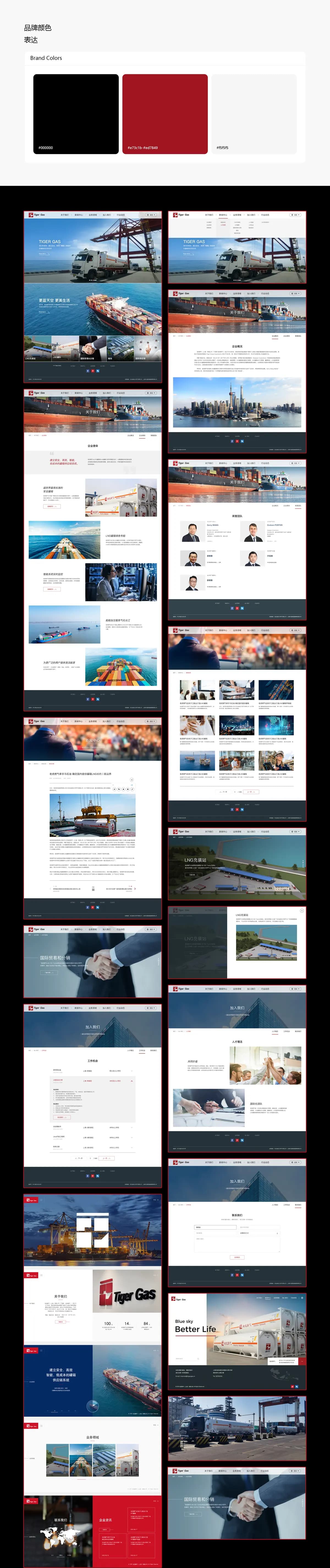 老虎燃气 品牌官网建设 设计展示